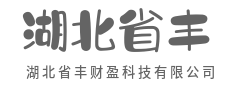 极速连接,零时差见未来-湖北省丰财盈科技有限公司